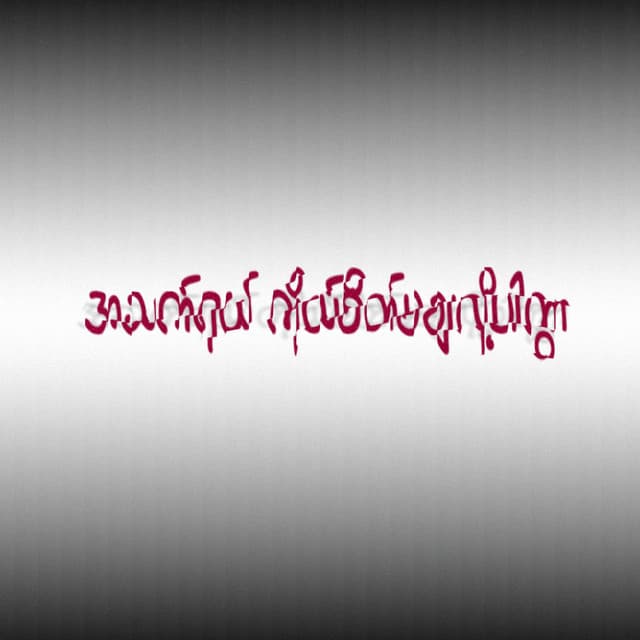 အသက်ရယ်ကိုယ်စိတ်မချလို့ပါကွာ
